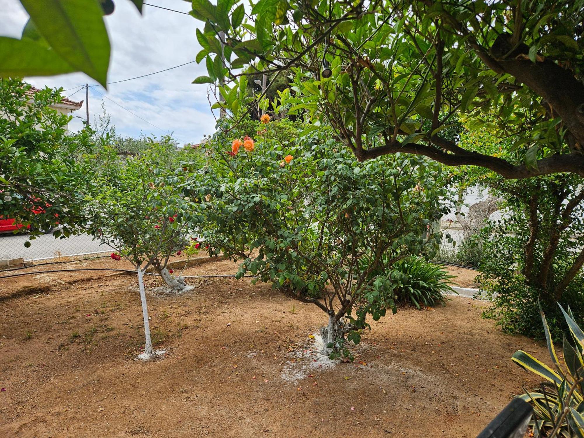 Apartamento Melograno Markópoulon Exterior foto