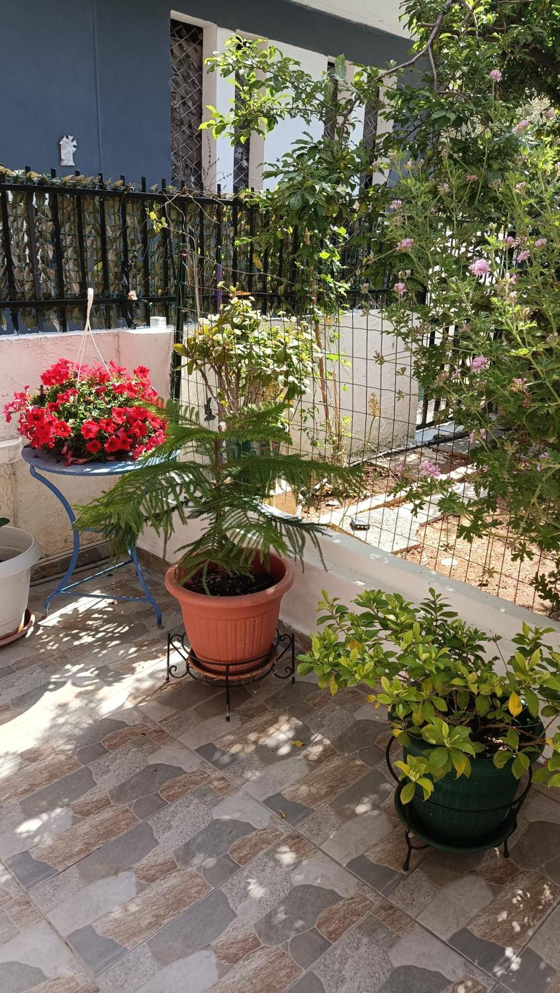 Apartamento Melograno Markópoulon Exterior foto